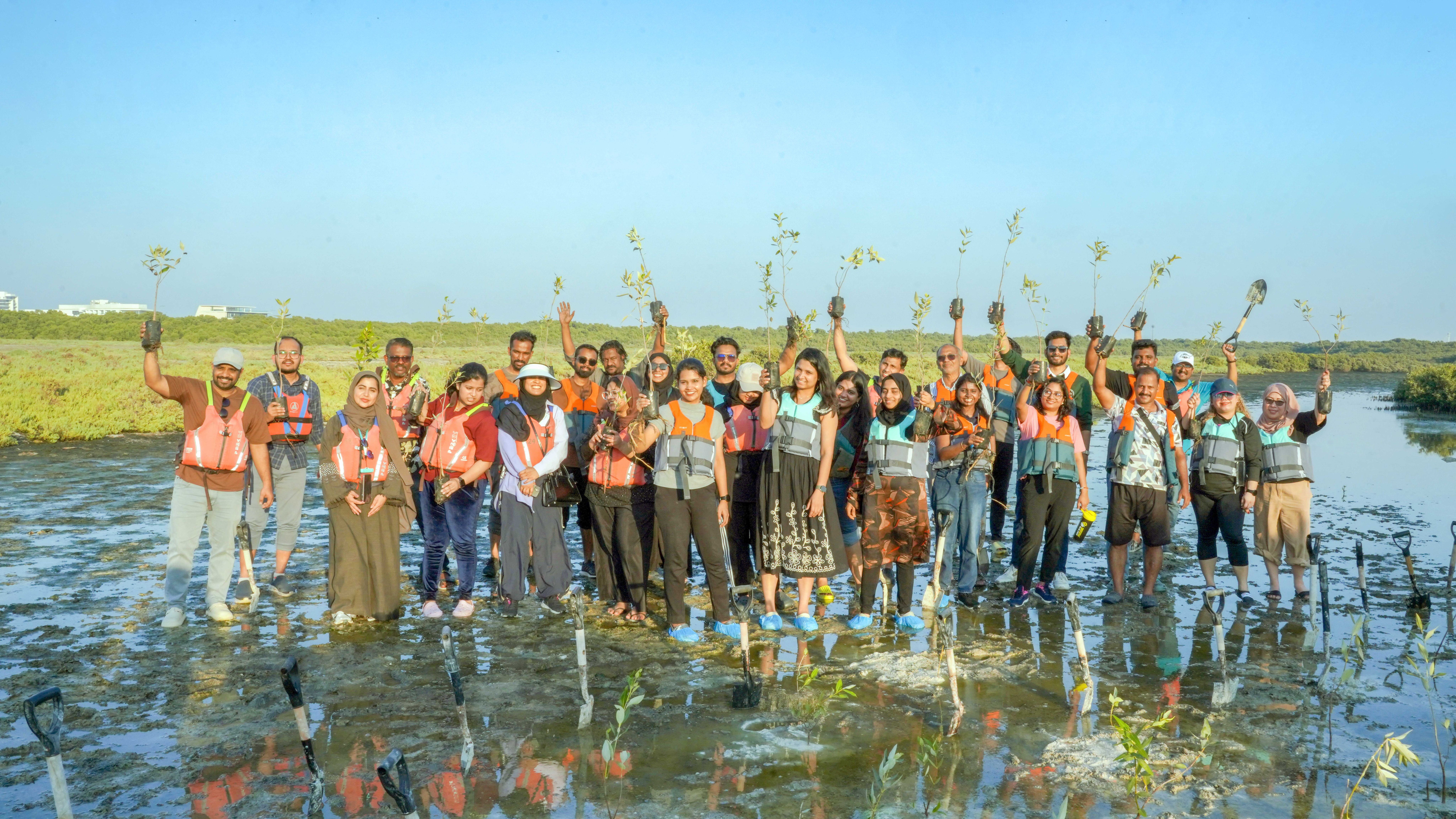 Hotpack employees lead mangrove planting initiative at Al Zora Reserve in Ajman