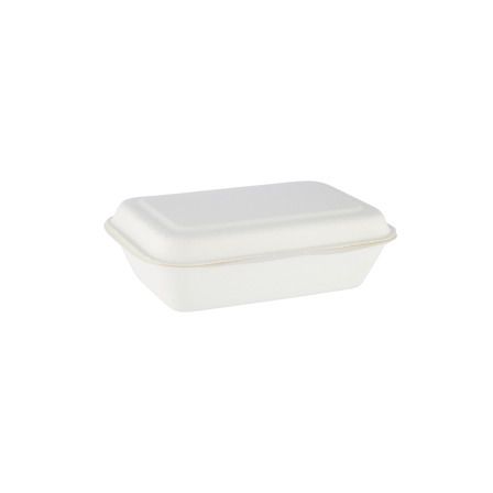 6"X4" Bio Hinged Container