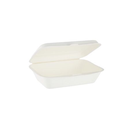 6"X4" Bio Hinged Container