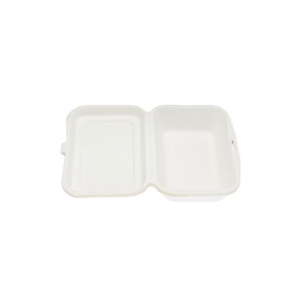 6"X4" Bio Hinged Container